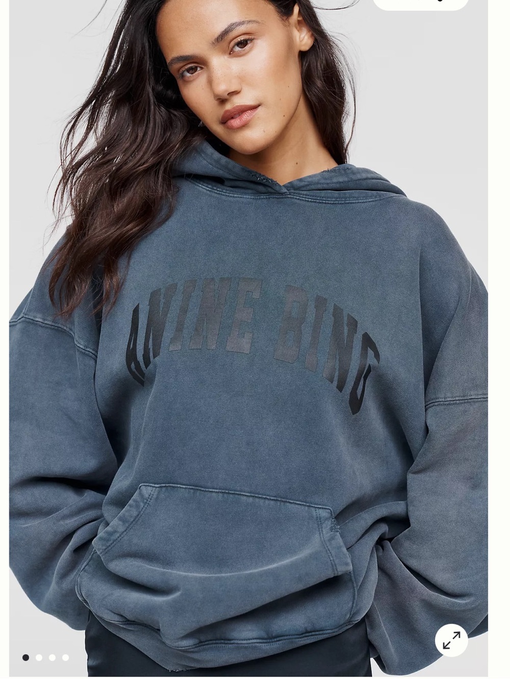Anine Bing Harvey Sweatshirt